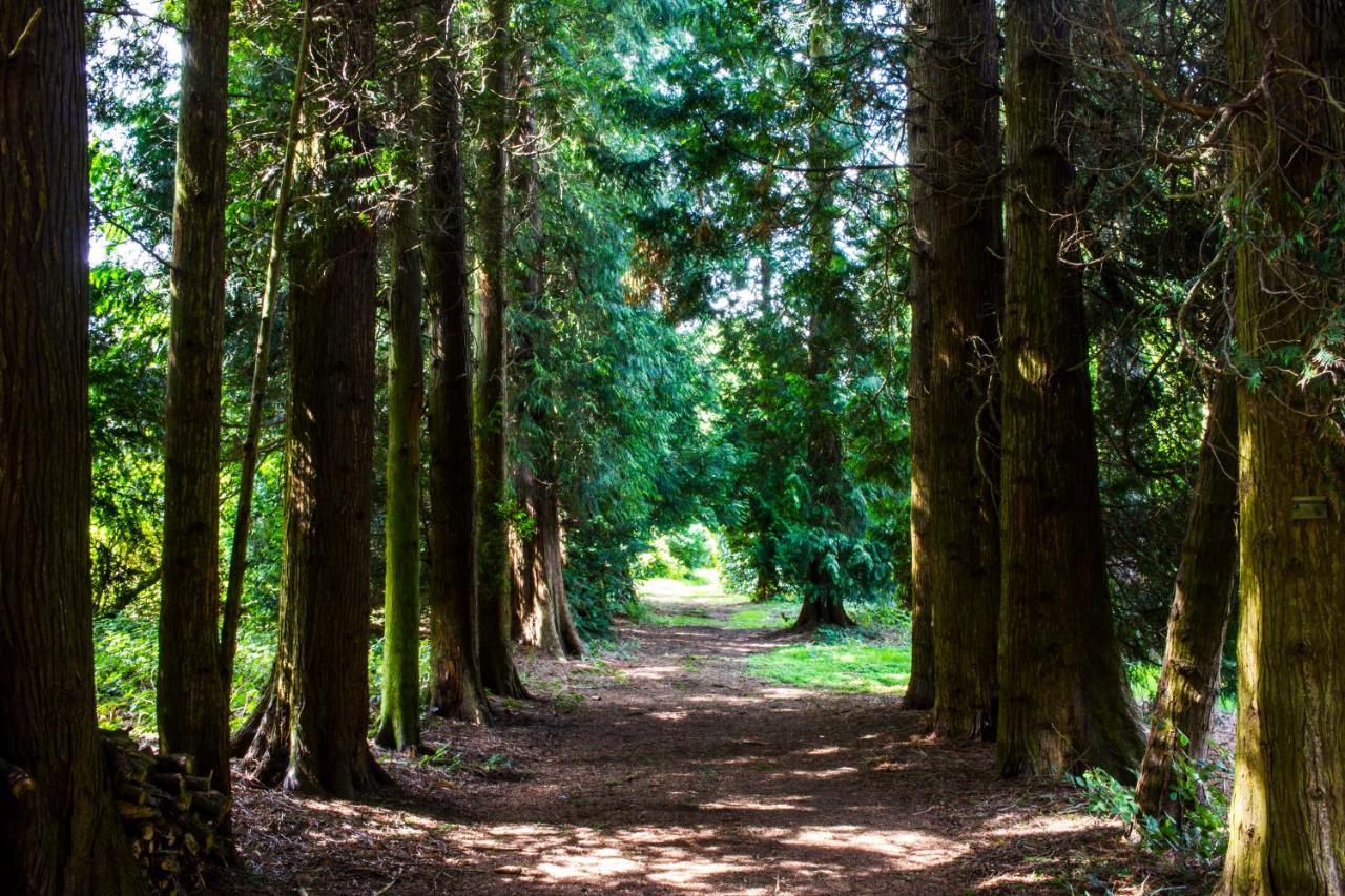 Hawkstone Hall Hotel & Gardens Preesgreen Εξωτερικό φωτογραφία